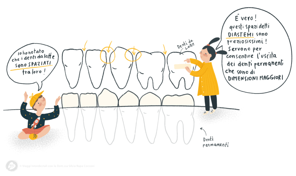 Le differenze tra i denti permanenti e i denti da latte spiegate ad un bambino - Viaggi interdentali